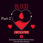 Blood Circulation-2