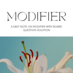 Modifier (In short)
