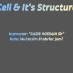 Cell & It’s Structure