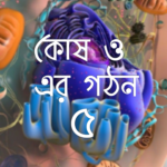 কোষ ও এর গঠন