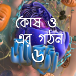 কোষ ও এর গঠন