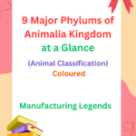 9 Major Phylums of Animalia Kingdom at a Glance