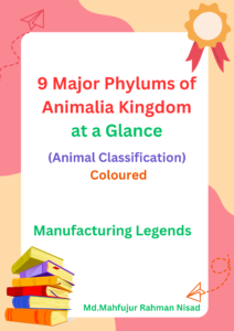 9 Major Phylums of Animalia Kingdom at a Glance