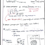 Cell & Its Structure